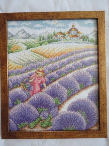 "Лавандовое поле"