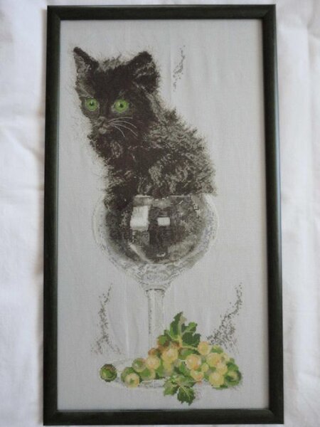 "Кот в бокале"