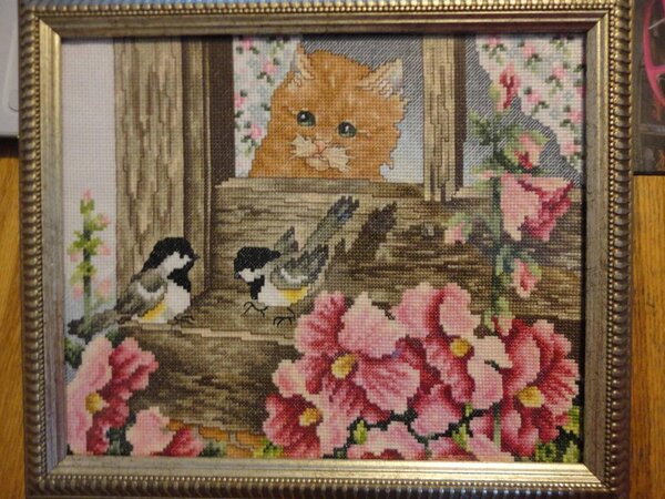 "Вынужденное перемирие"