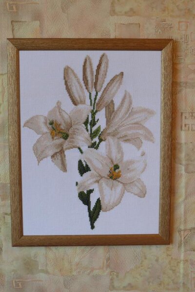 Белая королева сада, журнал Настюня 26