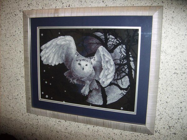 Белая сова. Панна