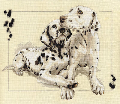 Панна - Ж-1165 - Далматинцы