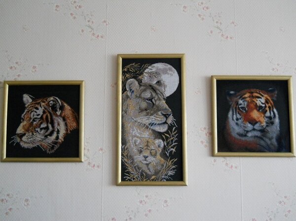 На год тигра