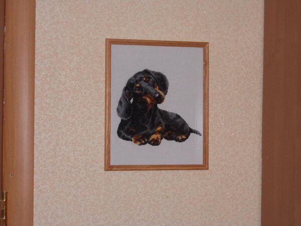 Такса от Риолис