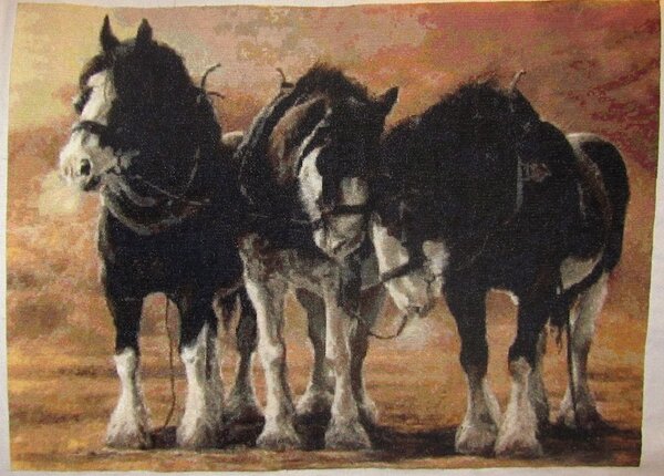 Клейдесдали от Классик Кросс Стичь
Любимые коняхи)