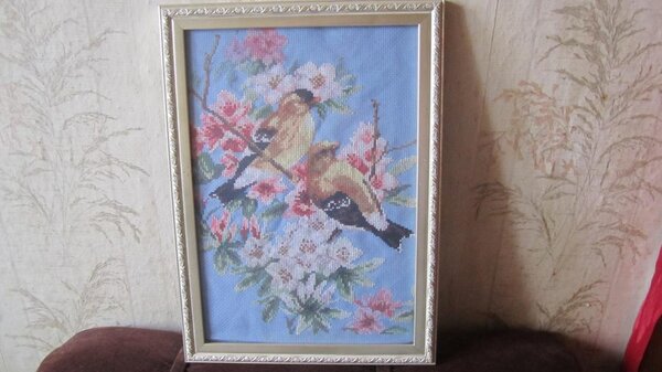 Изображение 754