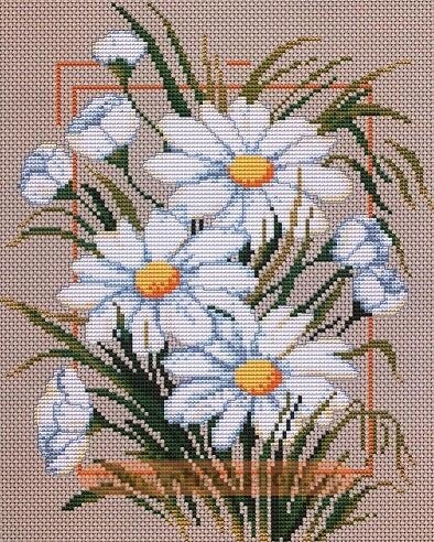 ромашки от ЛЮСЯ С