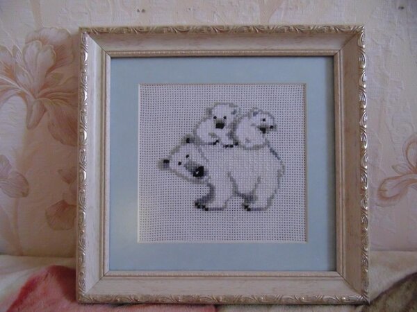 Мишки на севере