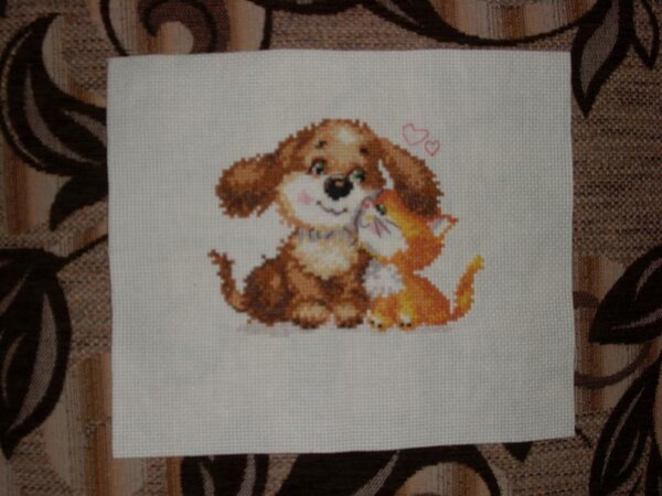 "Котик и собачка"