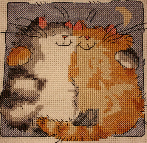 Мой первый робин. 
Эти котики мои. Целиком фотки робина пока нет.