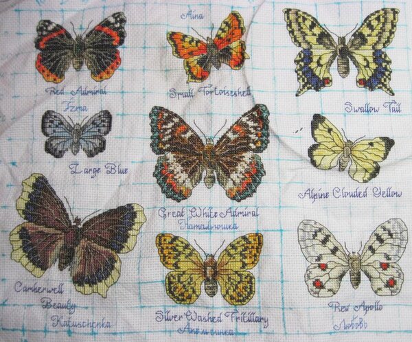 Раунд Робин №1