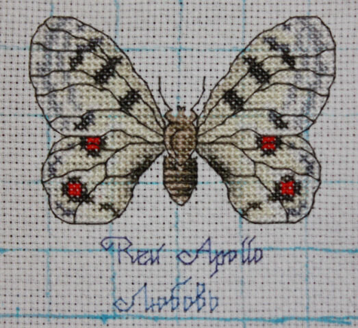 Бабочка для Tаше.