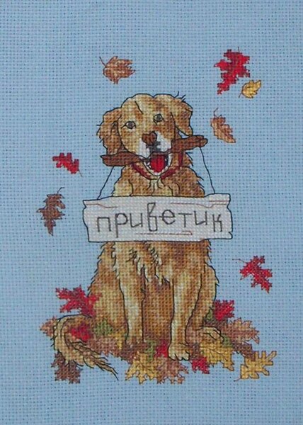 Вот такой "питомец" у нас появился )))