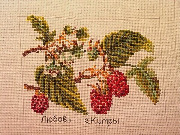 Ягодки для Shrek 1983