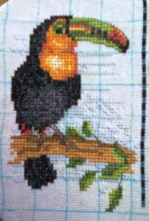 работа в робине