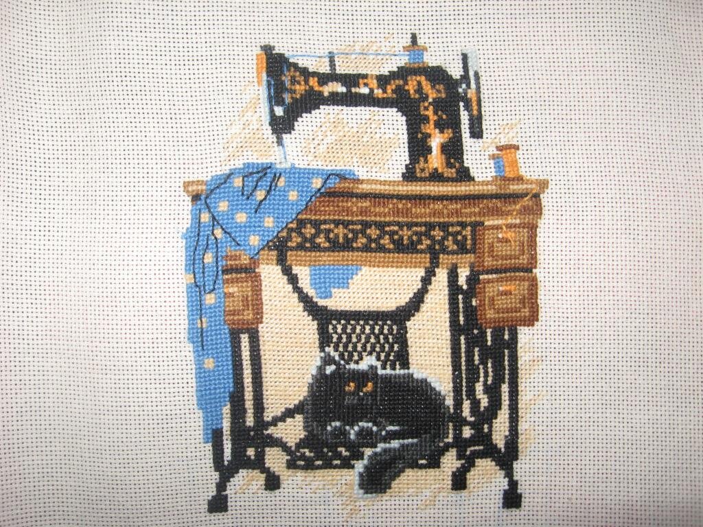 Кот со швейной машинкой