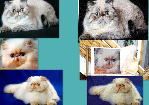 Вышивка 1 1 Вышивка по фотографии