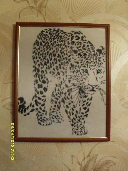 Золотое руно "Пластичность"