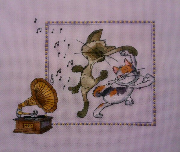 кошачий вальс