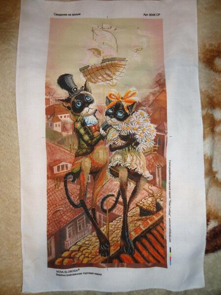 Нова Слобода. Супер киски!!