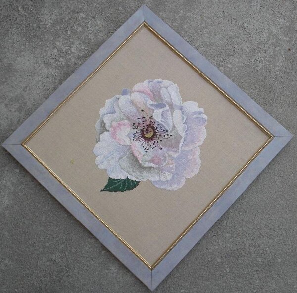 набор  ДМС   "Vine Rose"