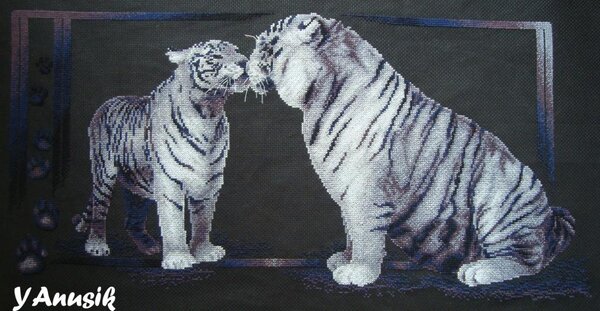 Тигриная любовь