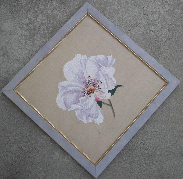 набор ДМС "Wild Rose"