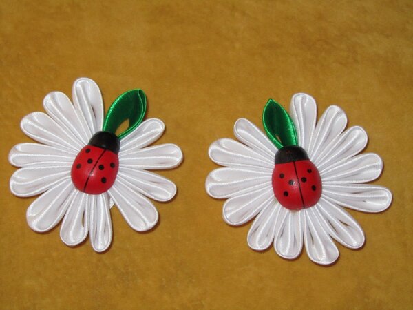 IMG 4857 [Разрешение рабочего стола]