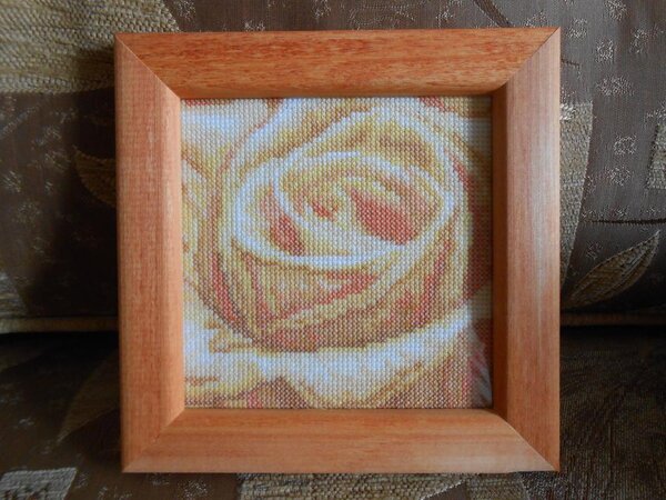 Очень люблю желтые розы.