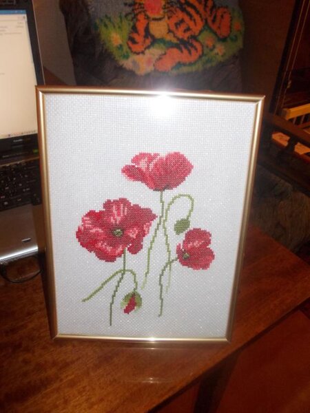 Танцующие маки.