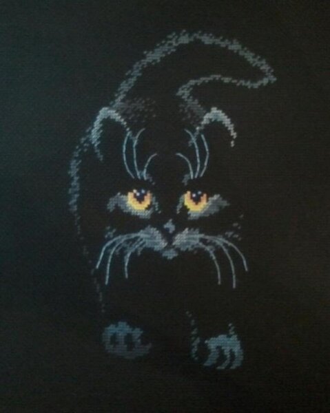 Чёрный кот.