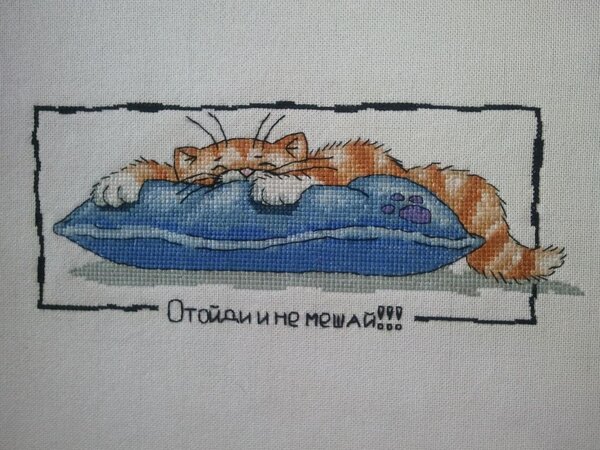 Не люблю утро!
(Отойди и не мешай!!!)