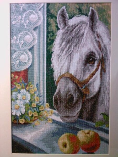 Любопытный сосед.