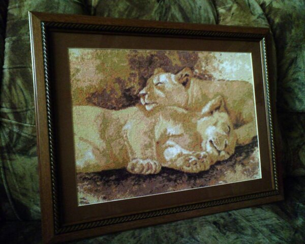 Спящие львы(готовая)