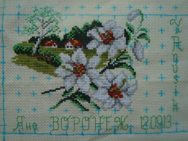 Робин Настюши - Blogolady