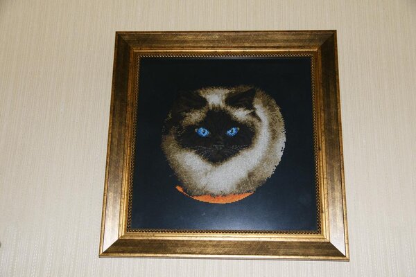 Кот "Маркиз"