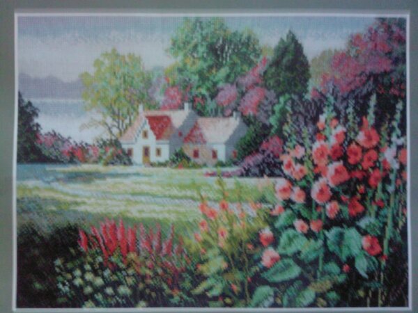 Цветущая мальва.