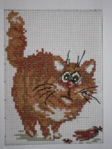 рыжик из разряда увидела схему понравилось, нитки подбирала на глаз. К сожалению до сих пор не стирана и не оформлена уже в течении года. Обещаю это исправить.