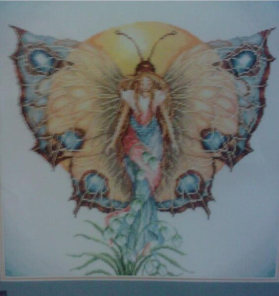 Бабочка-эльф(день).