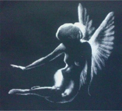 Тень ангела  №1.