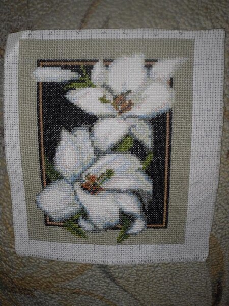 цветы не самая любимая работа, была подарена тете.