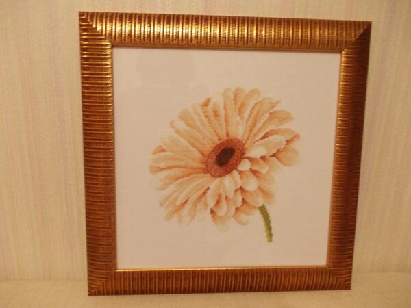 Изображение 376