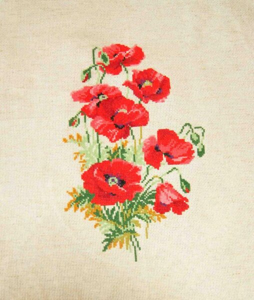 полевые маки