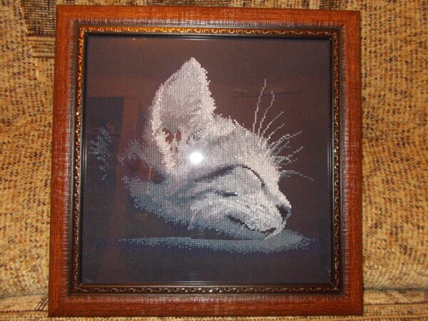 Спящий котенок