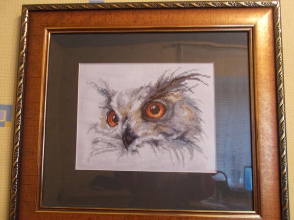 Серия "Взгляд" от Vervaco
"Взгляд филина"