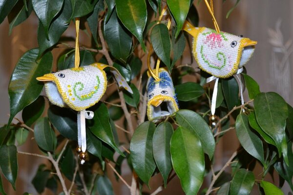 птички-игольницы