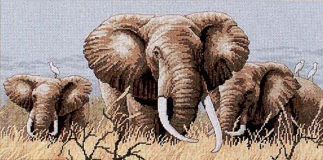 35012
15375-739  12275-746   15381-838   16010-471   15576-842   15578-407   15379-3863   18390-3023   17050-932   15350-437   18500-646   18501-3787   18900-648   18510-762   15936-632?   12296-677