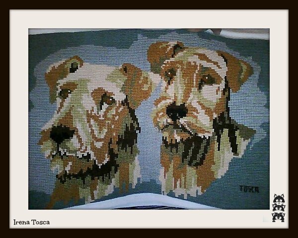 Эрдельтерьеры.