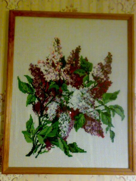 Сирень от Риолис