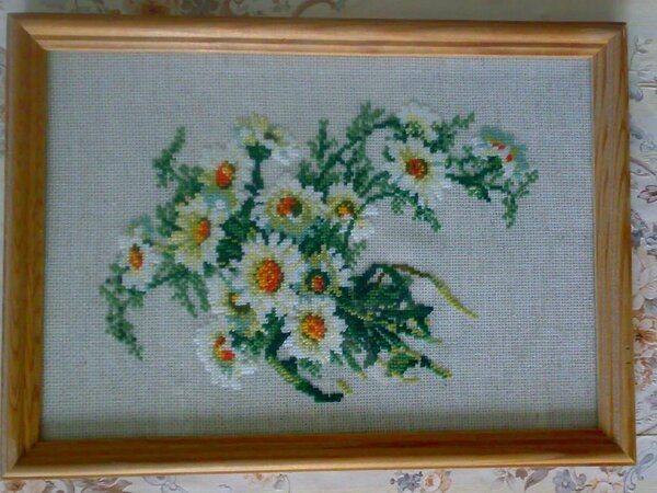 Ромашки от Риолис